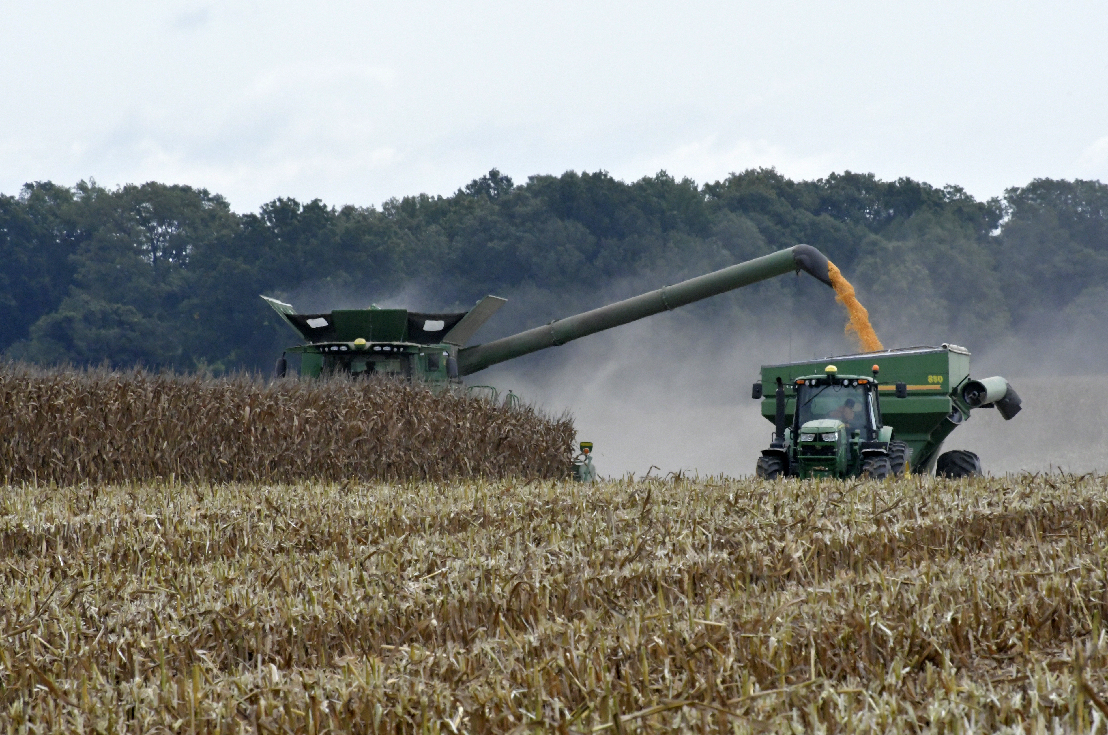 Corn field harvesting in rural Arkansas.
